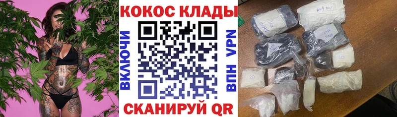 kraken   Камышин  COCAIN Columbia 