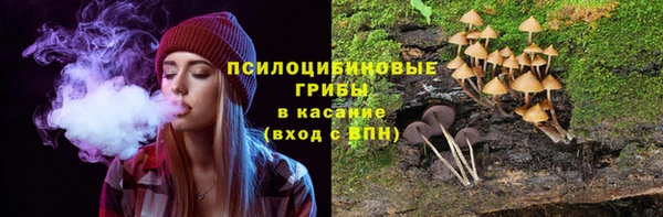 прущий лед Алексин