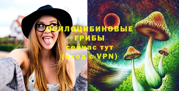 кокс Алзамай